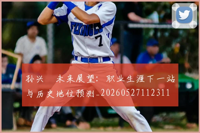 孙兴慜未来展望:职业生涯下一站与历史地位预测_20260527112311